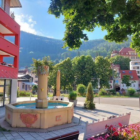 Apartement Am Waldrand Bad Wildbad Exteriér fotografie